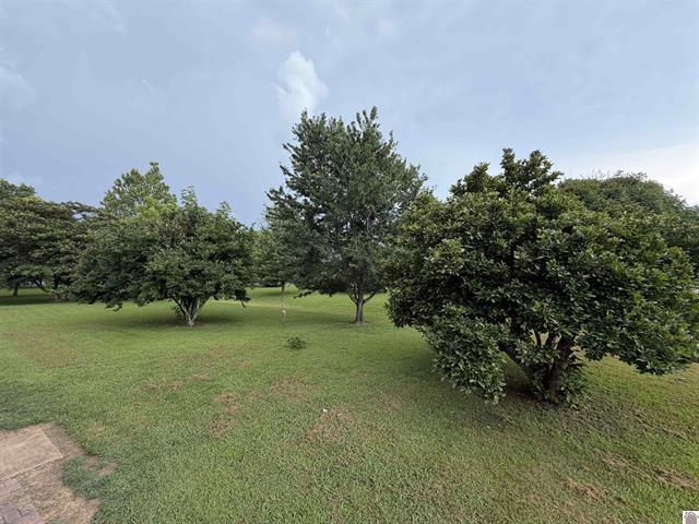 3003 Friendship Road Eddyville, KY 42038 - Photo 39 of 39 39
