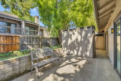 a view of backyard with a large tree and wooden fence