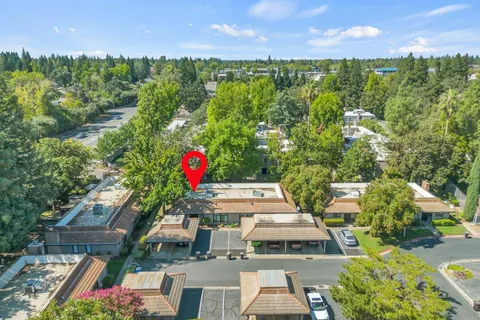 a view of city and flowers