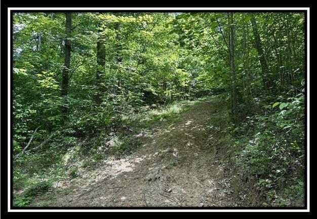 59 Weaver Road, Unit TRACT C) Chillicothe, OH 45601 - Photo 9 of 36 image009