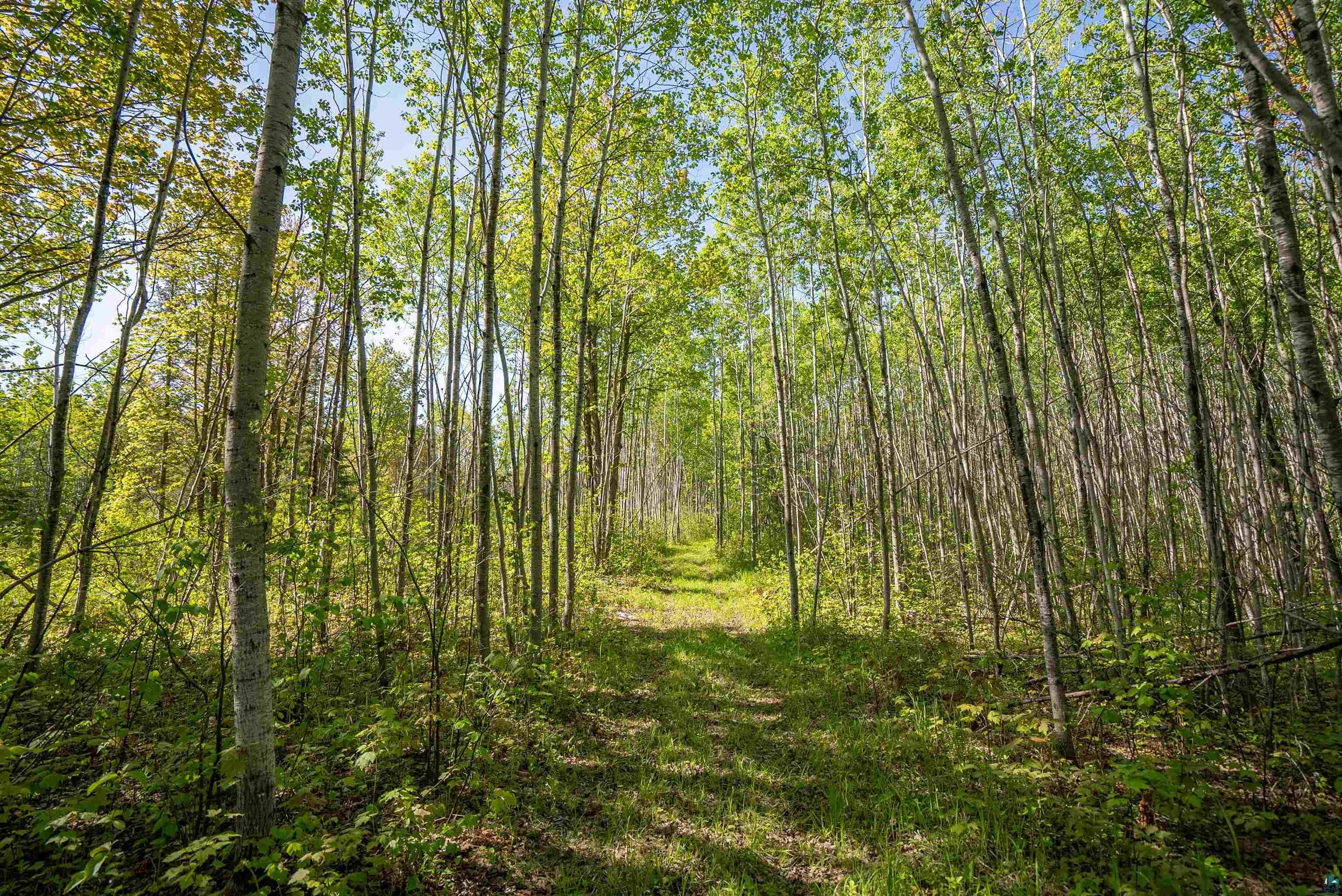 3679 22nd Road South Range, WI 54874 - Photo 38 of 48