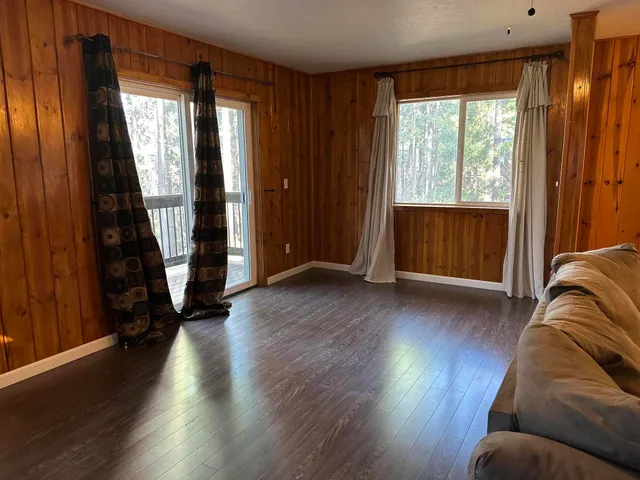 a view of a park with large trees