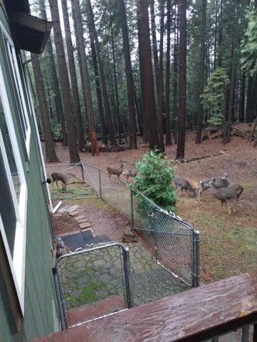 $253,000 | 7220 Shasta Forest Drive, Shingletown, CA 96088