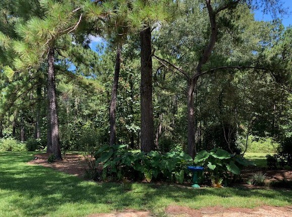 760 Beaver Creek Road Dothan, AL 36303 - Photo 12 of 13