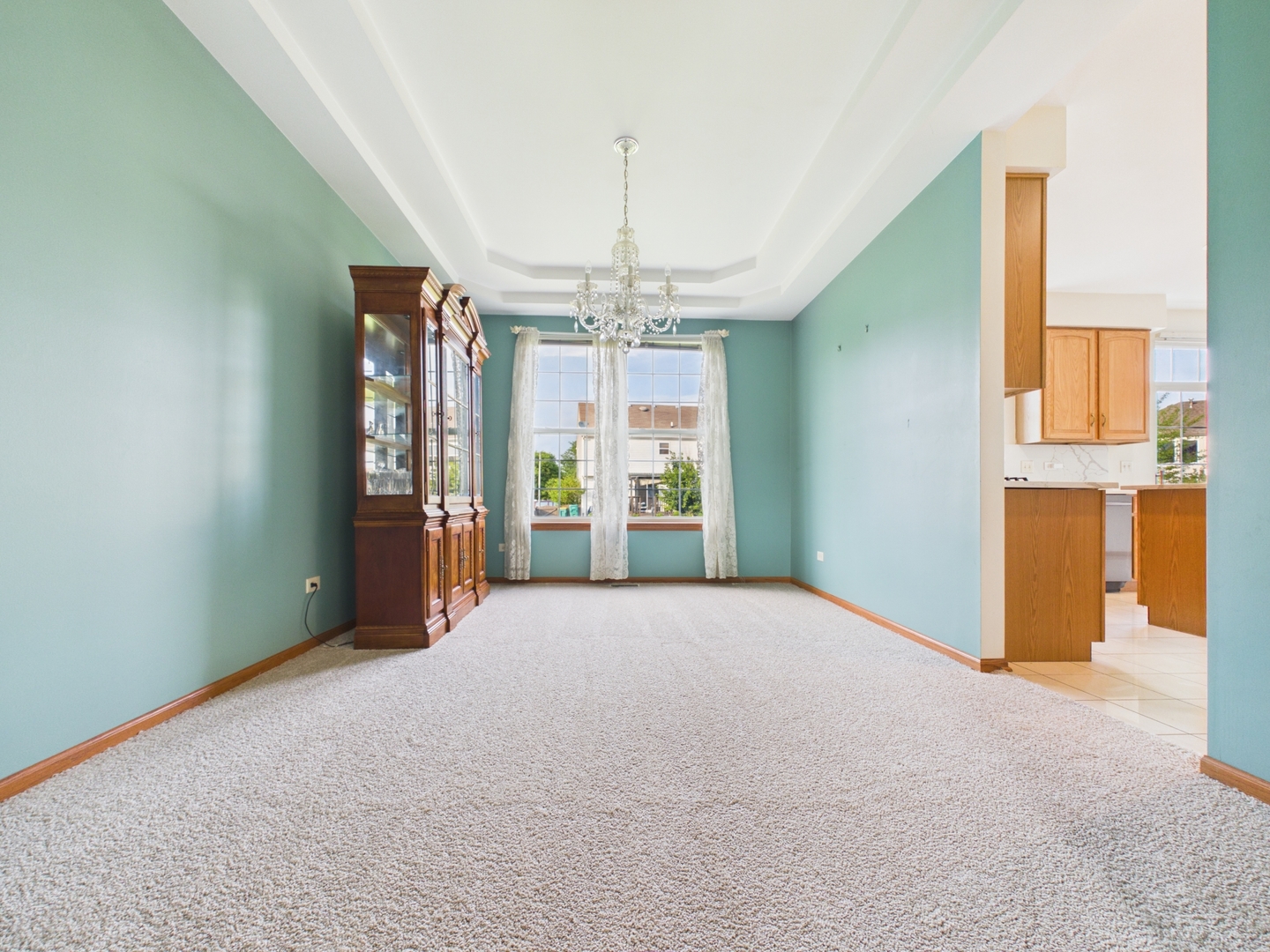 247 Alyssum Court Romeoville, IL 60446 - Photo 7 of 35