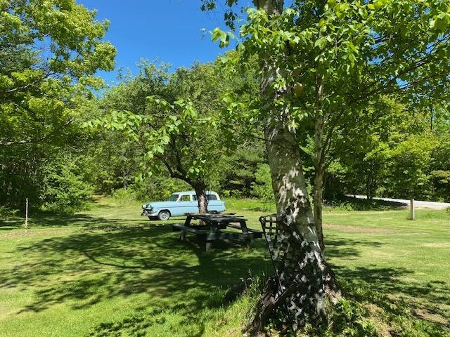 968 Faxon Hill Road Washington, NH 03280 - Photo 2 of 15