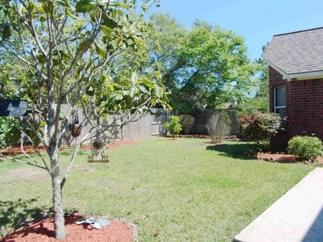 a backyard of a house with plants and large tree
