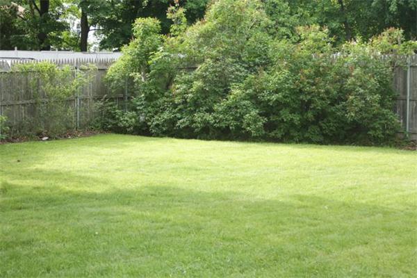332 Greenwood Street Worcester, MA 01607 - Photo 15 of 15 Gallery Image 15