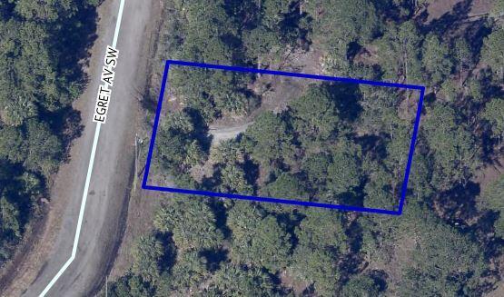 2865 Egret Avenue Palm Bay, FL 32908 - Photo 1 of 4 eagle view