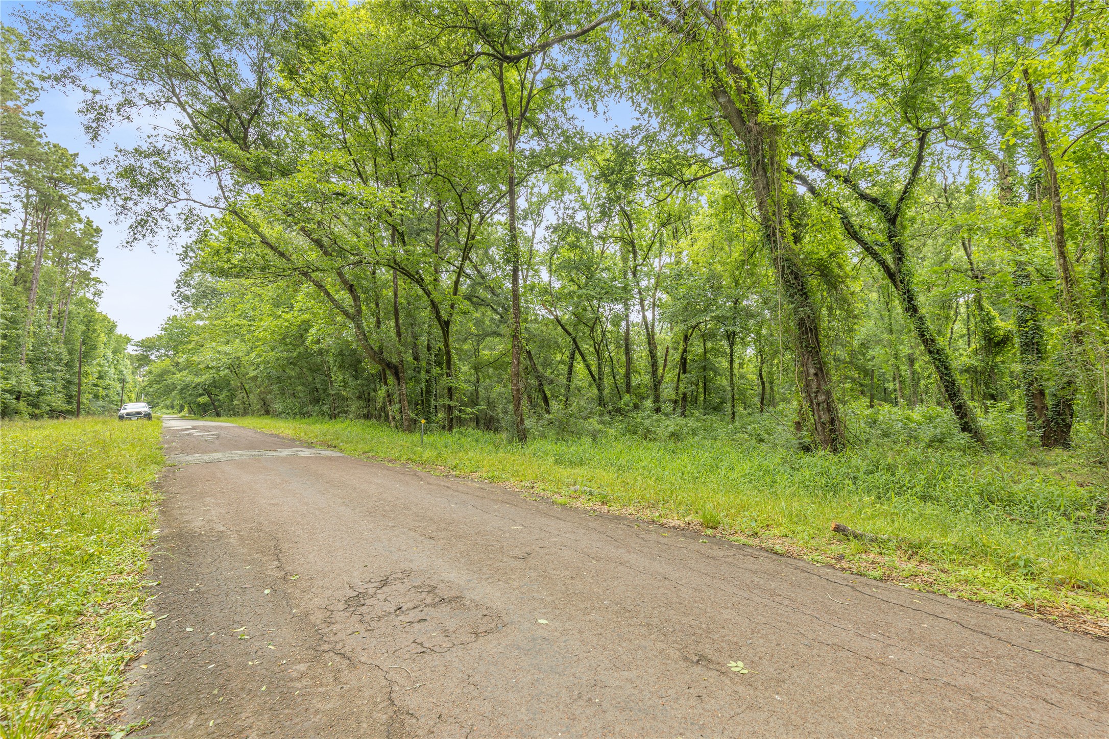 12572 Royal Creek Road Conroe, TX 77303 - Photo 3 of 6