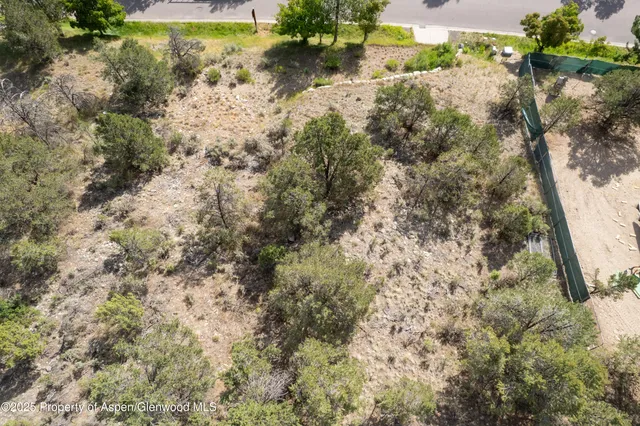 a view of a yard with plants