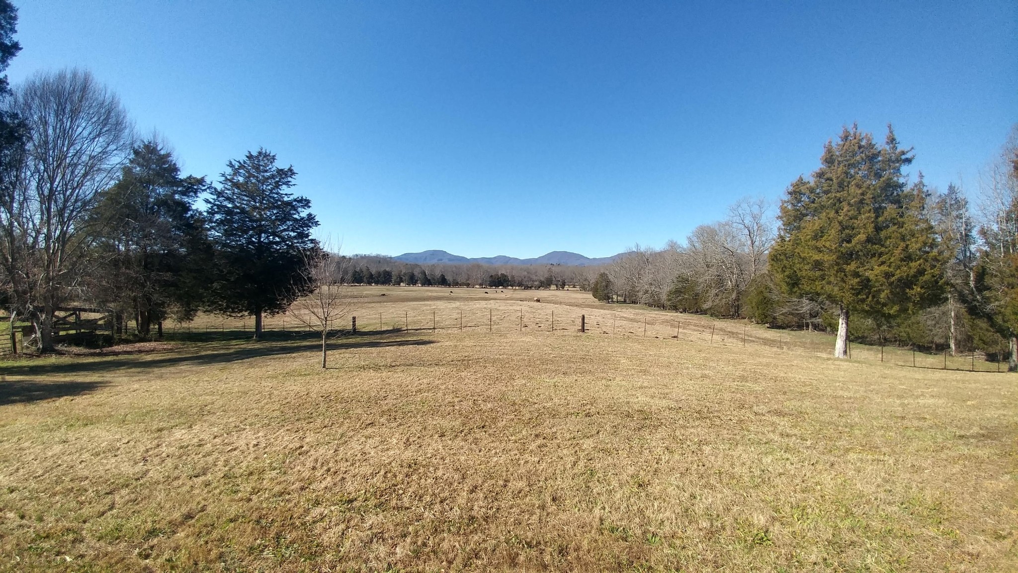 350 Mahoney Road Oliver Springs, TN 37840 - Photo 12 of 33 Gallery Image 12