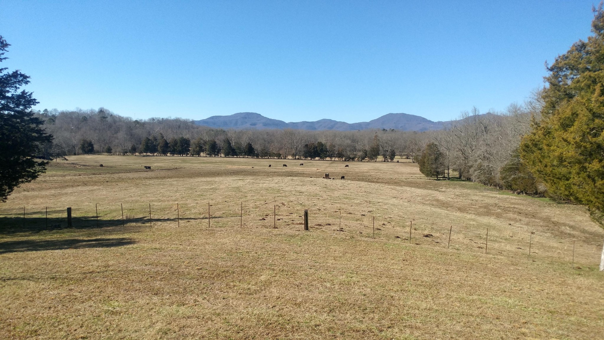 350 Mahoney Road Oliver Springs, TN 37840 - Photo 23 of 33 Gallery Image 23