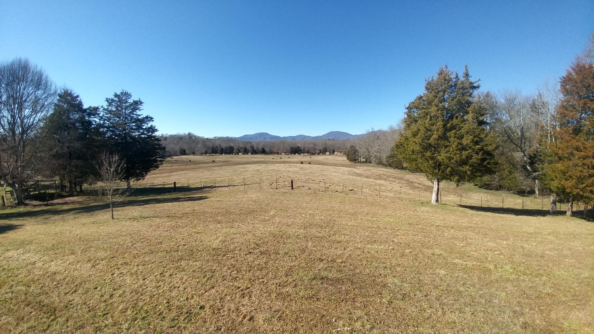 350 Mahoney Road Oliver Springs, TN 37840 - Photo 24 of 33 Gallery Image 24