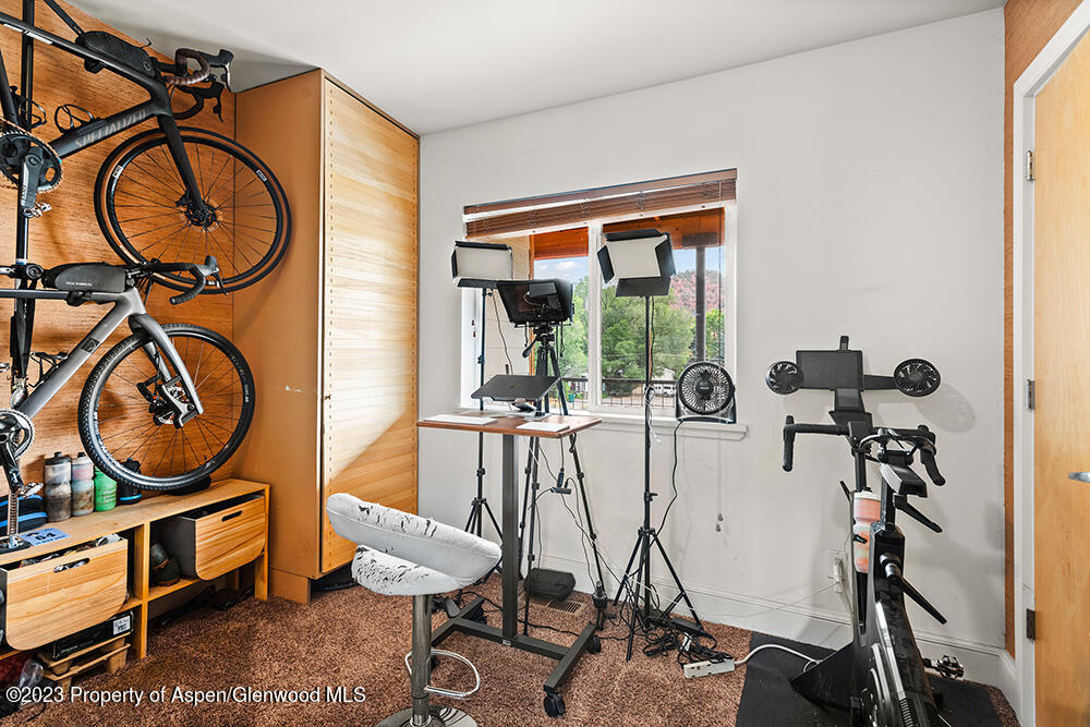 2563 Dolores Way Carbondale, CO 81623 - Photo 9 of 12 a view of a room with gym equipment