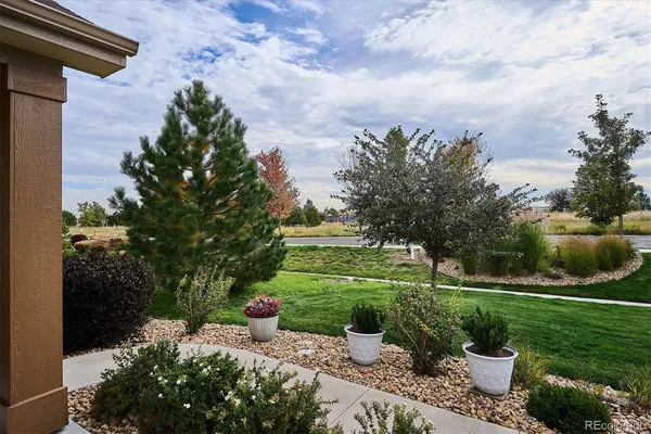 a view of a garden with plants and a fountain