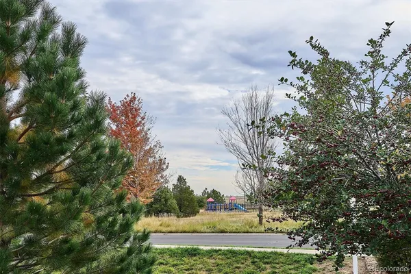 a view of a back yard