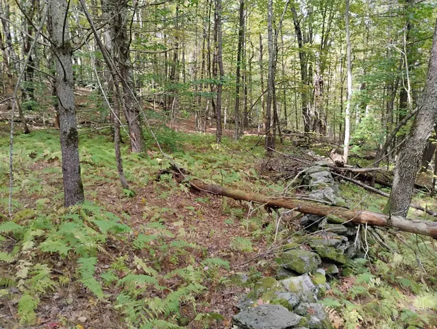 $119,000 | 0 Banning Road, Putney, VT 05346