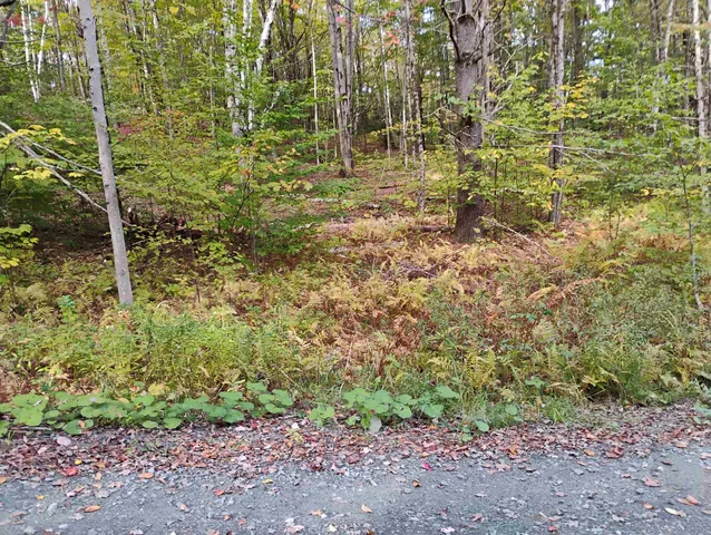 $119,000 | 0 Banning Road, Putney, VT 05346