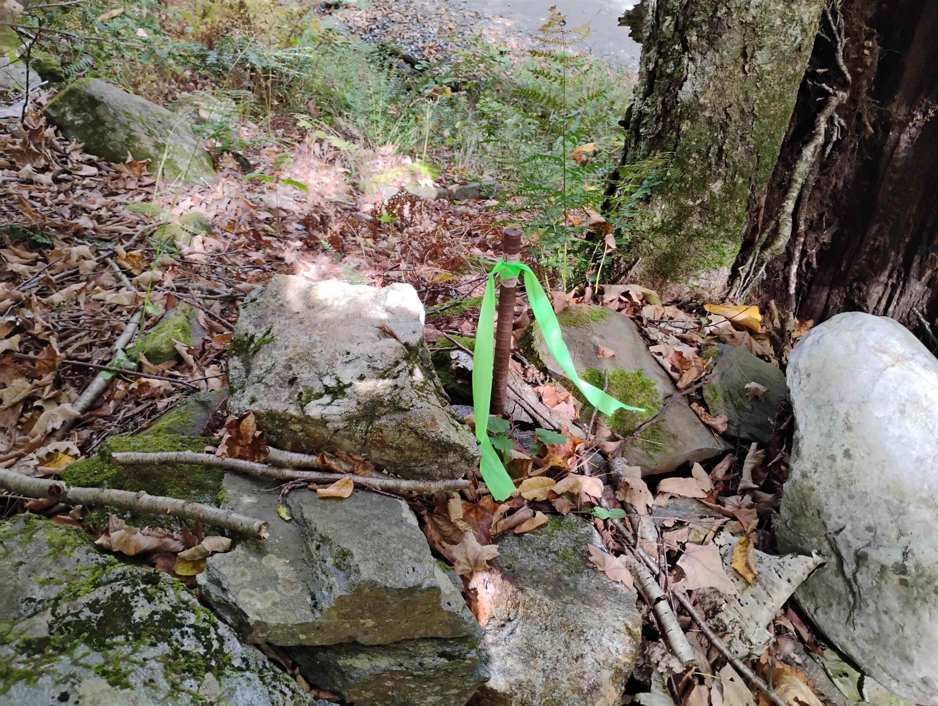 0 Banning Road Putney, VT 05346 - Photo 2 of 12