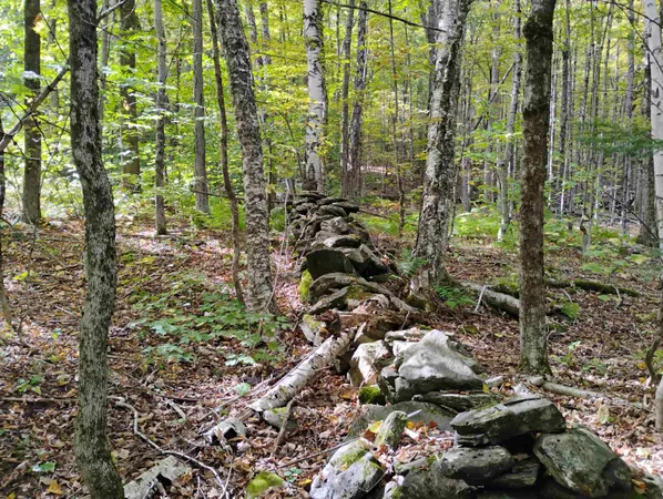 $119,000 | 0 Banning Road, Putney, VT 05346