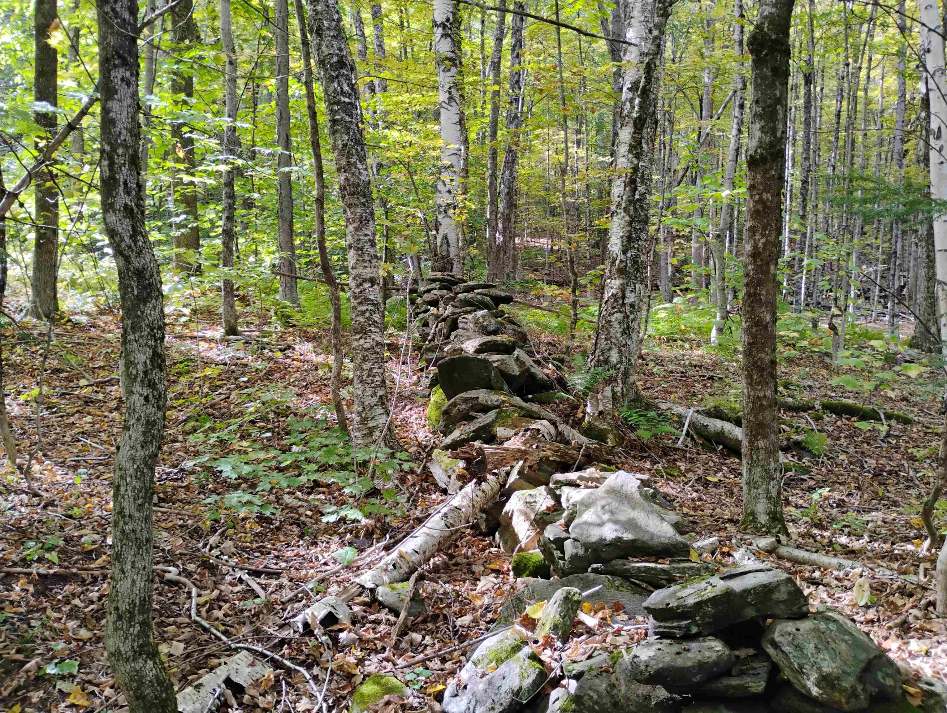 0 Banning Road Putney, VT 05346 - Photo 3 of 12