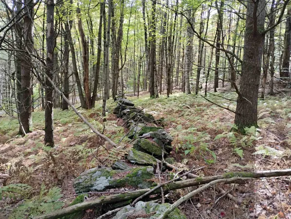 $119,000 | 0 Banning Road, Putney, VT 05346