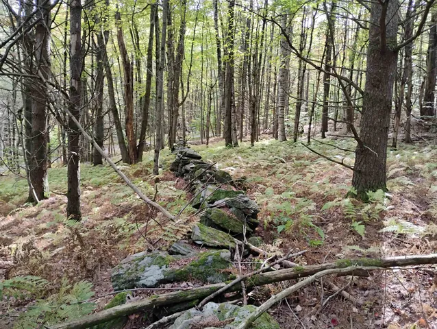 $119,000 | 0 Banning Road, Putney, VT 05346