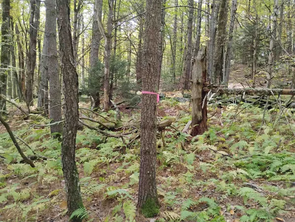 $119,000 | 0 Banning Road, Putney, VT 05346