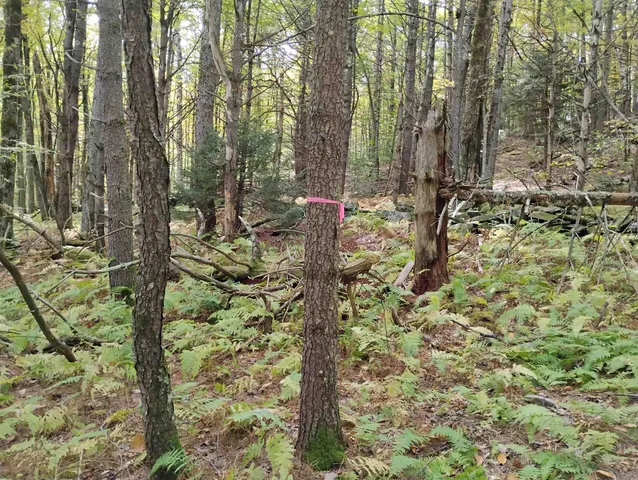 $119,000 | 0 Banning Road, Putney, VT 05346