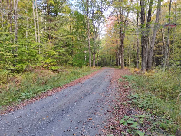 $119,000 | 0 Banning Road, Putney, VT 05346