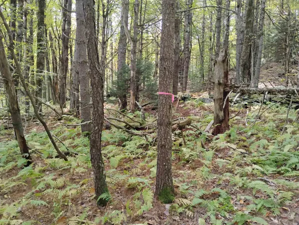 $119,000 | 0 Banning Road, Putney, VT 05346