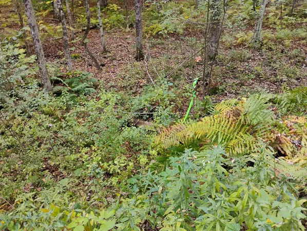 $119,000 | 0 Banning Road, Putney, VT 05346