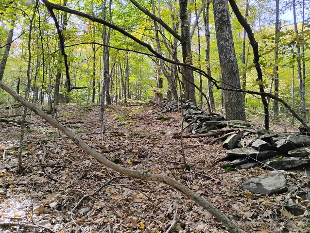 $119,000 | 0 Banning Road, Putney, VT 05346