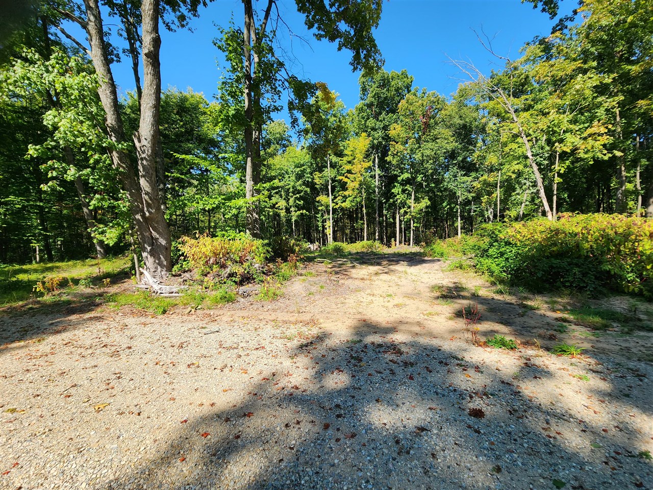 Lot F North Behler Road Bailey, MI 49303 - Photo 20 of 20