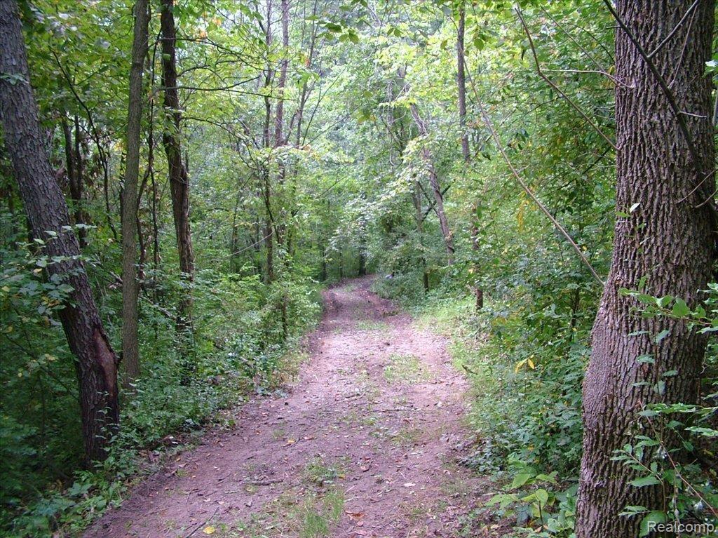 11495 Herrington Road Byron, MI 48418 - Photo 10 of 12 DSCF1325