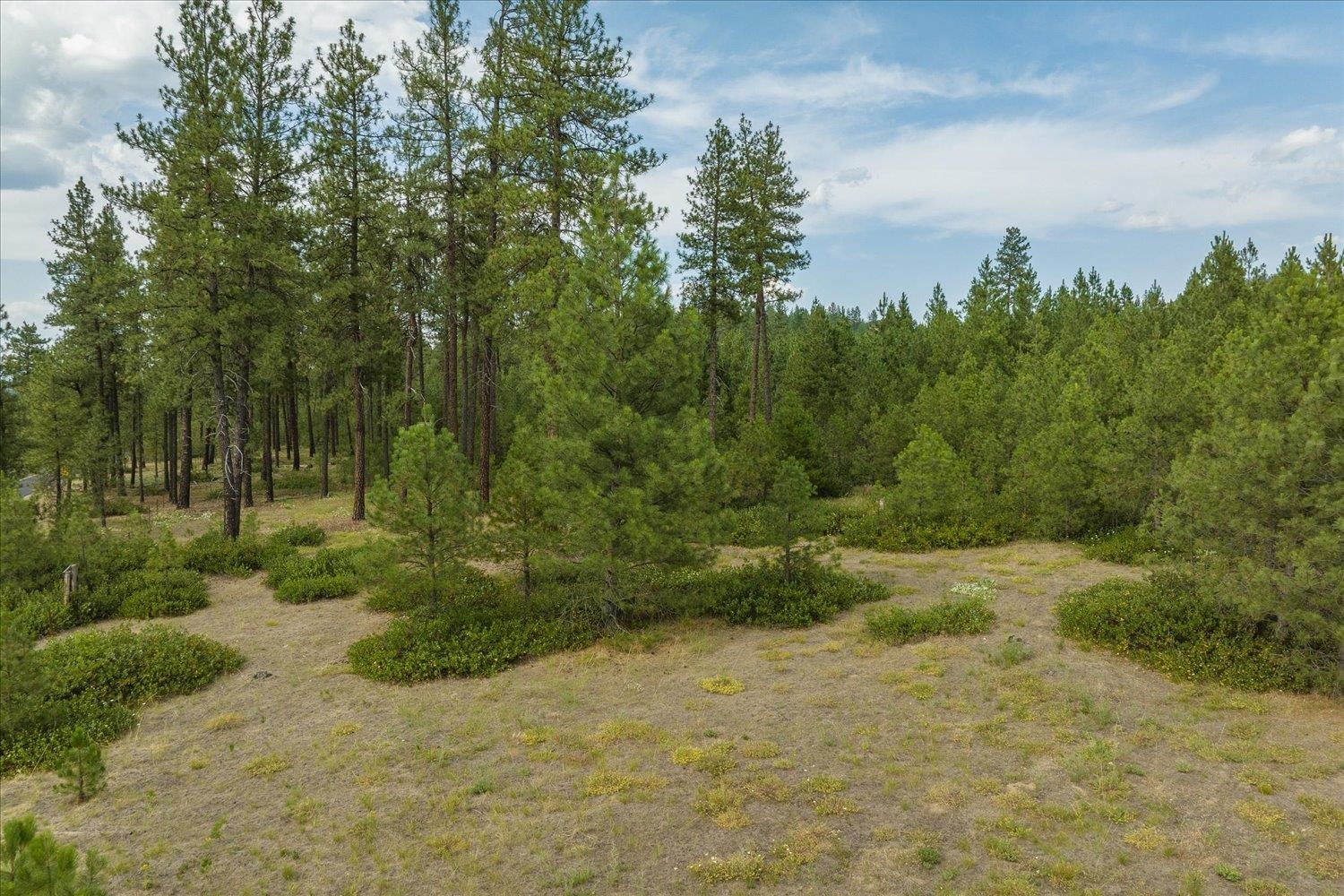 Xx North Hardesty Road Chattaroy, WA 99003 - Photo 13 of 34
