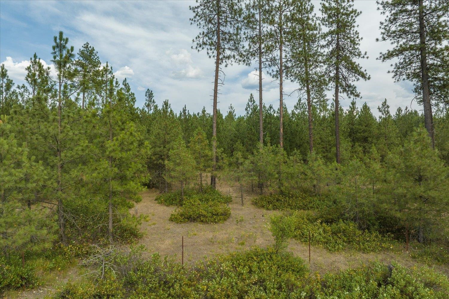 Xx North Hardesty Road Chattaroy, WA 99003 - Photo 17 of 34