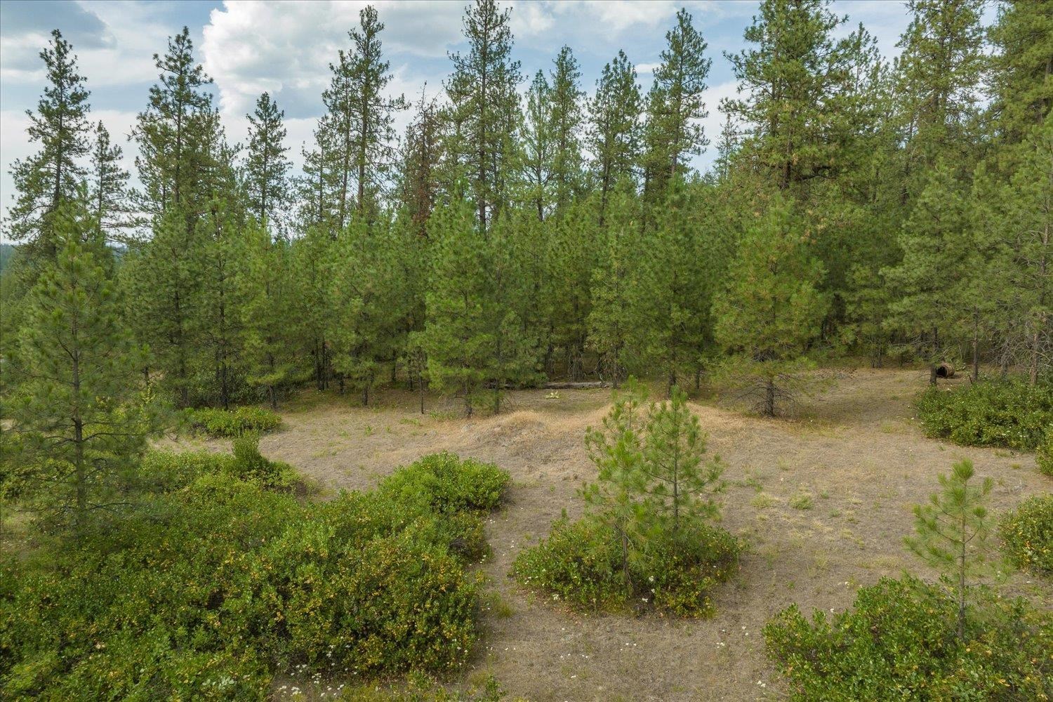 Xx North Hardesty Road Chattaroy, WA 99003 - Photo 18 of 34