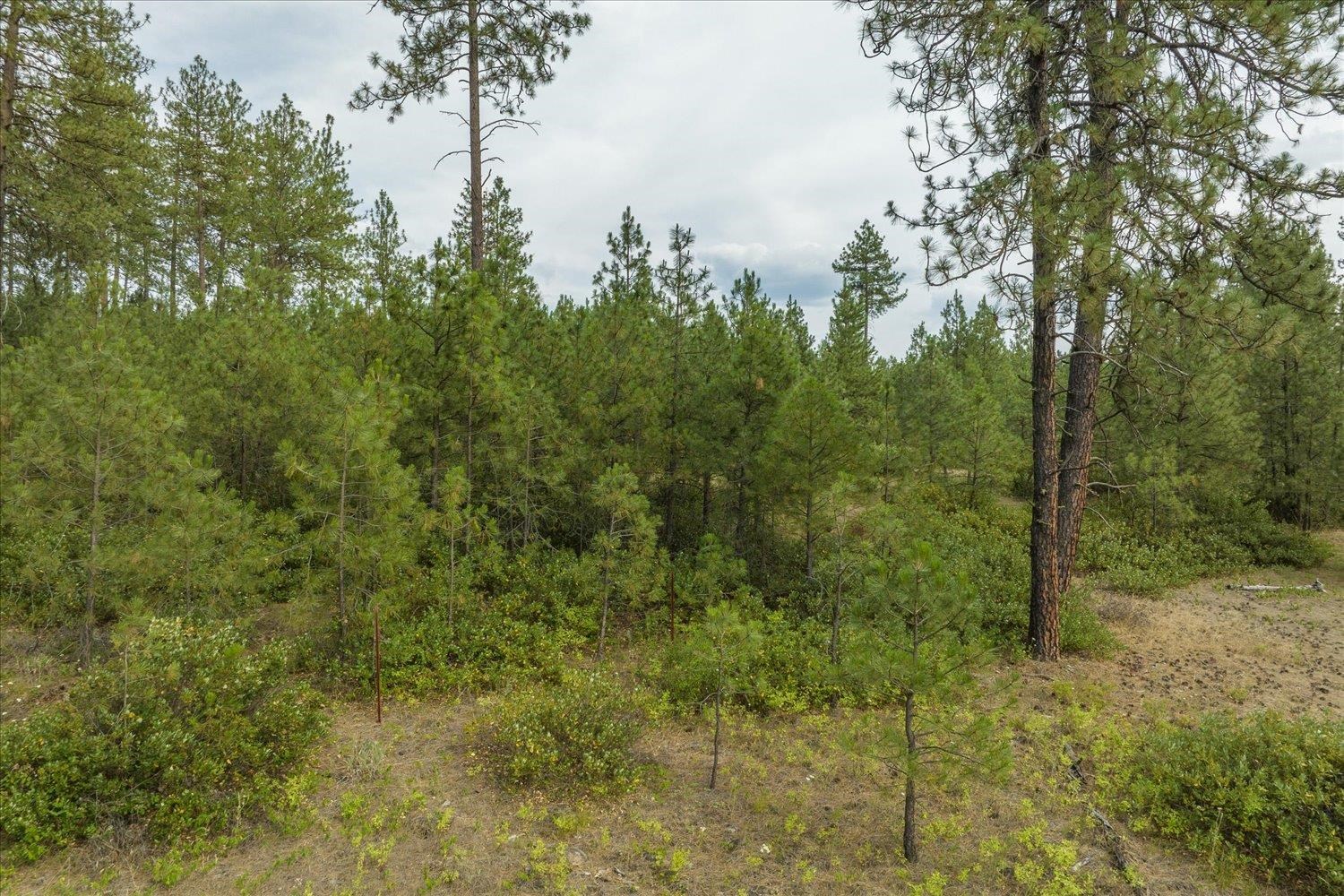Xx North Hardesty Road Chattaroy, WA 99003 - Photo 19 of 34