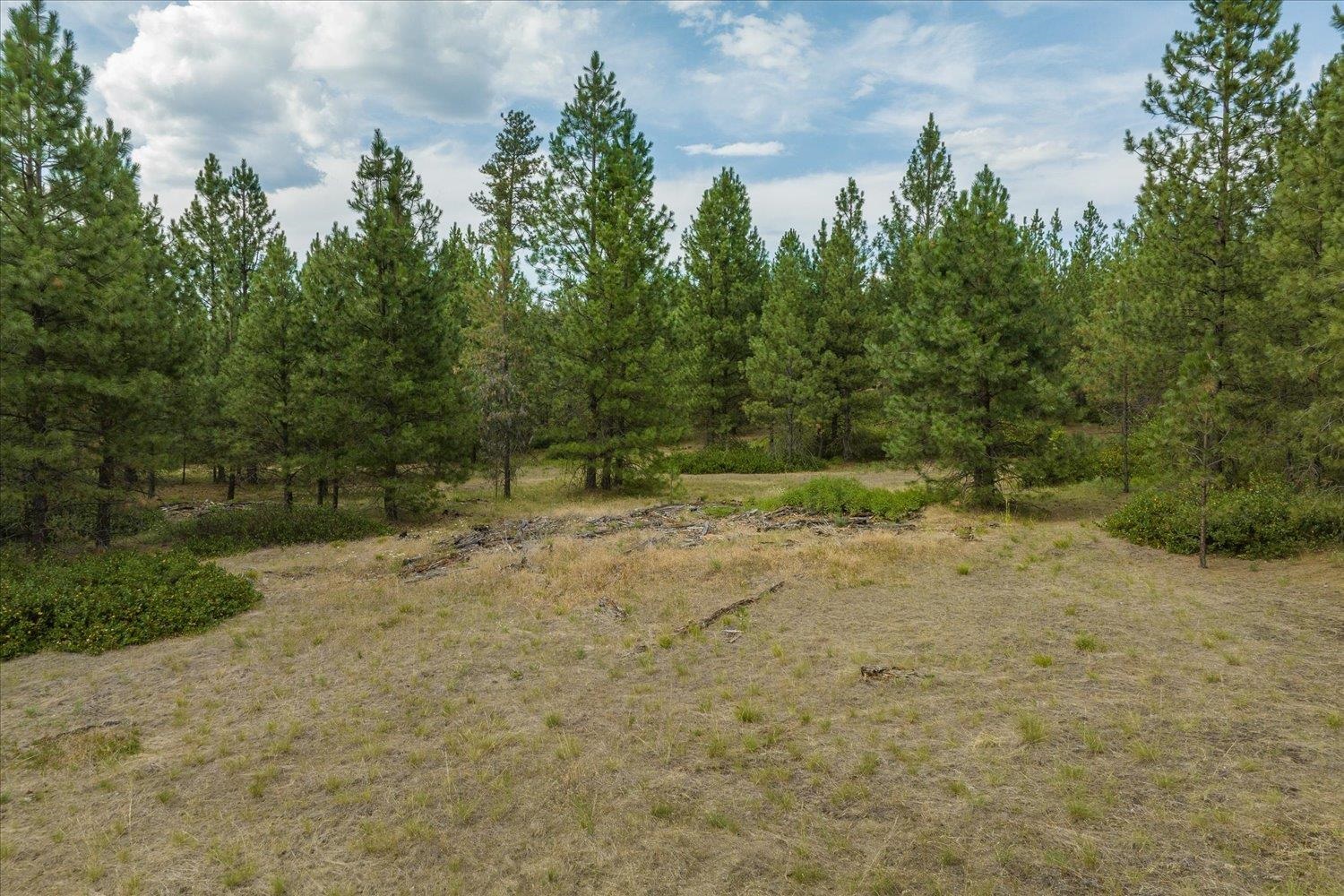 Xx North Hardesty Road Chattaroy, WA 99003 - Photo 25 of 34