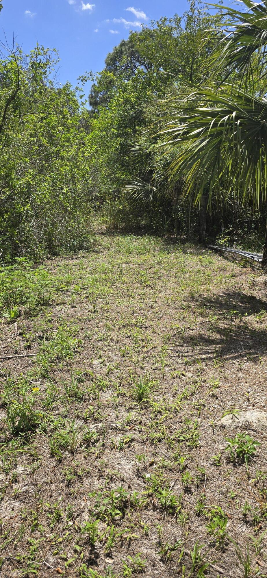 4612 Windmill Road Loxahatchee, FL 33470 - Photo 3 of 6 1000051745