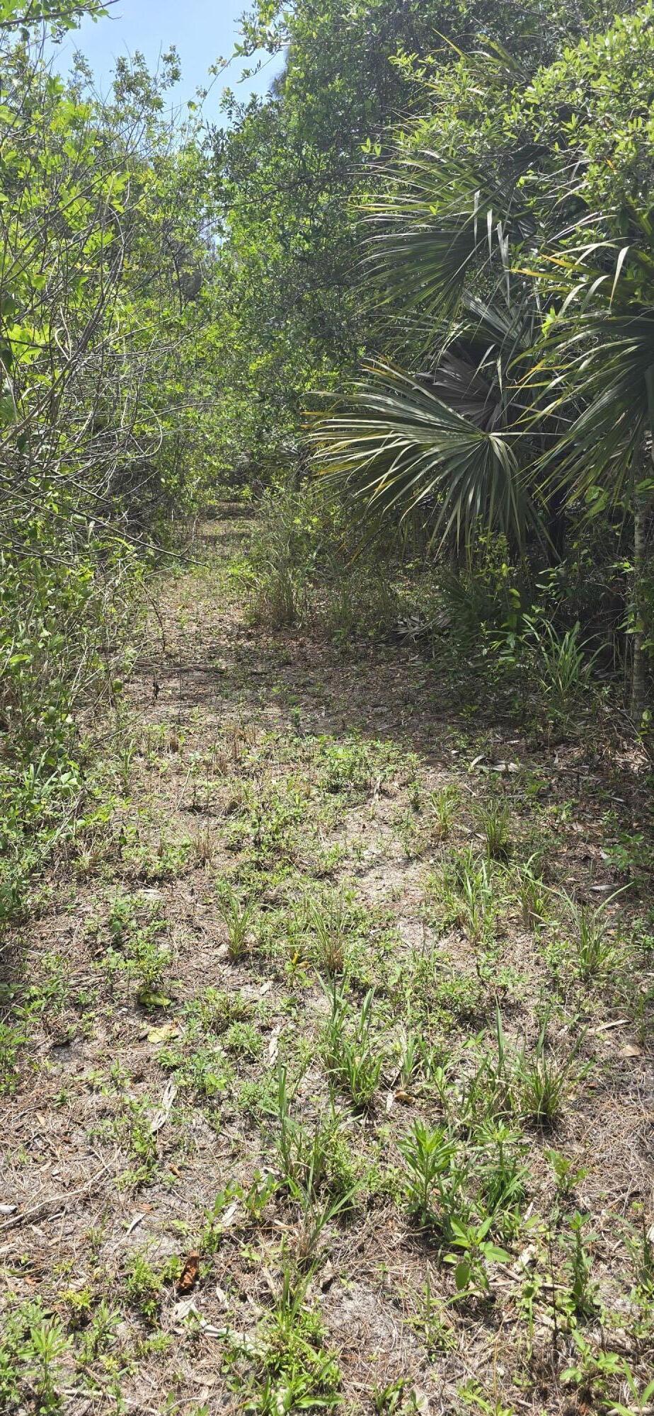 4612 Windmill Road Loxahatchee, FL 33470 - Photo 5 of 6 1000051748