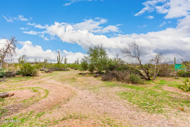 a view of a yard with plants