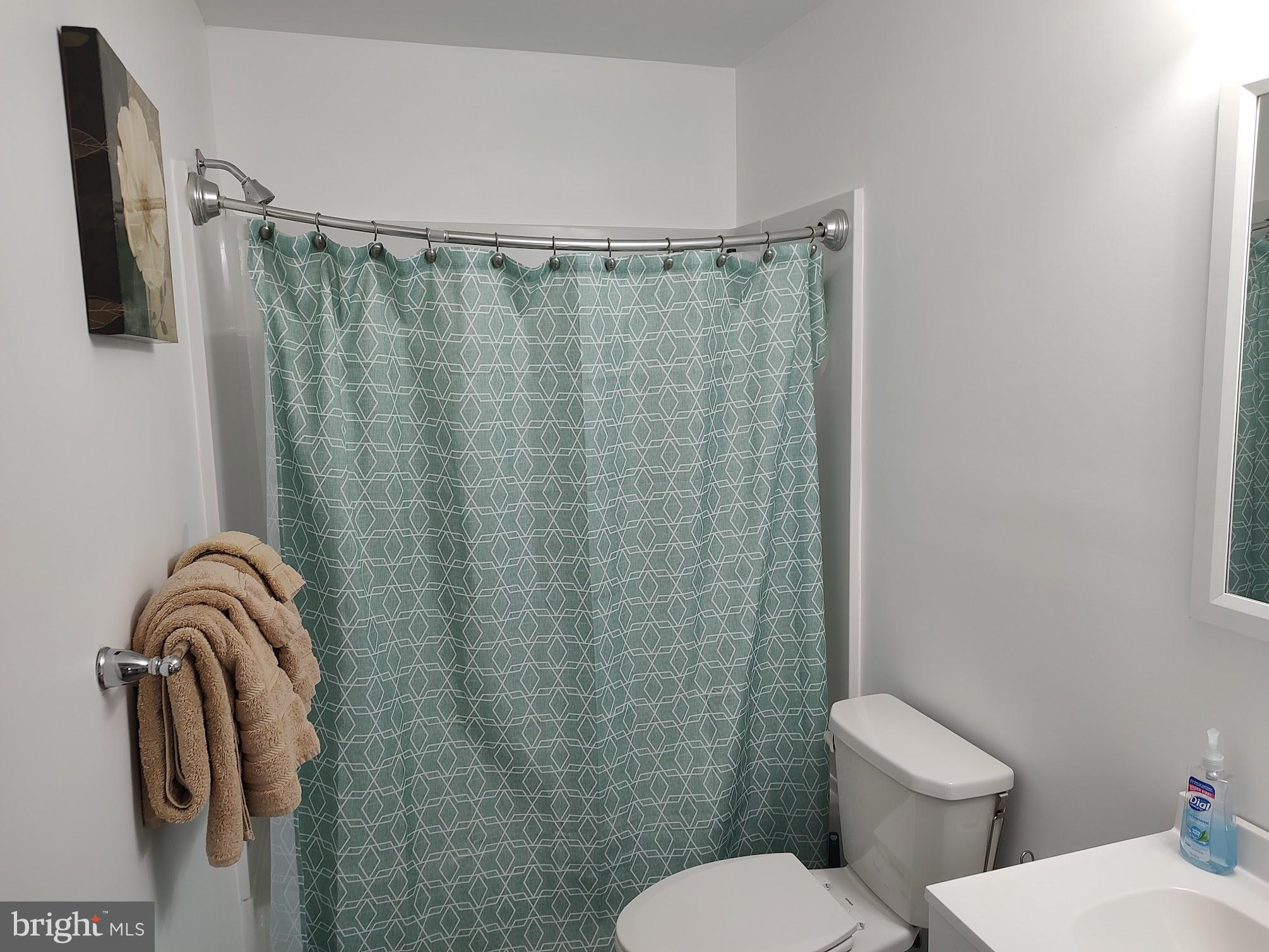 157 Tonys Road Elkton, MD 21921 - Photo 40 of 49 Full Bath #3