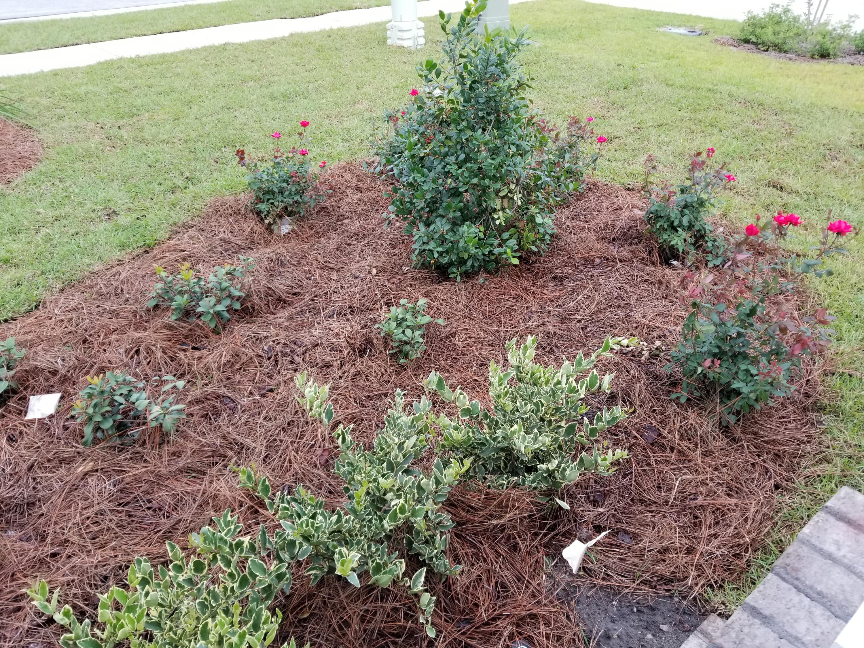 99 Norwich Road Freeport, FL 32439 - Photo 5 of 49 Gallery Image 5