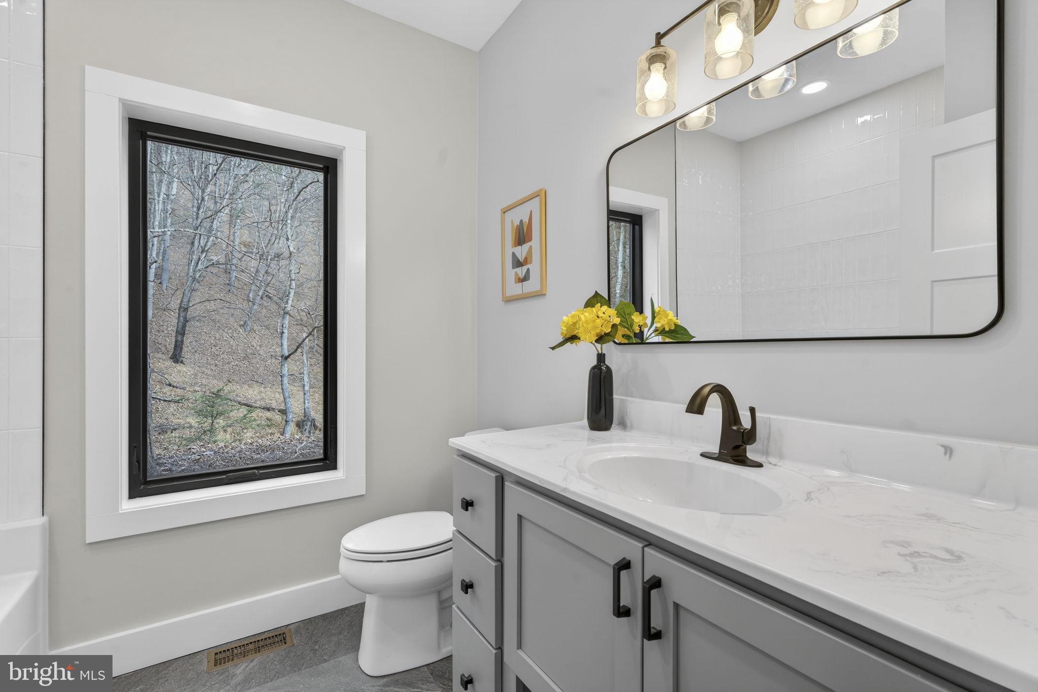 1956 Dove Hollow Road Mathias, WV 26812 - Photo 45 of 113 a bathroom with a toilet a sink and mirror