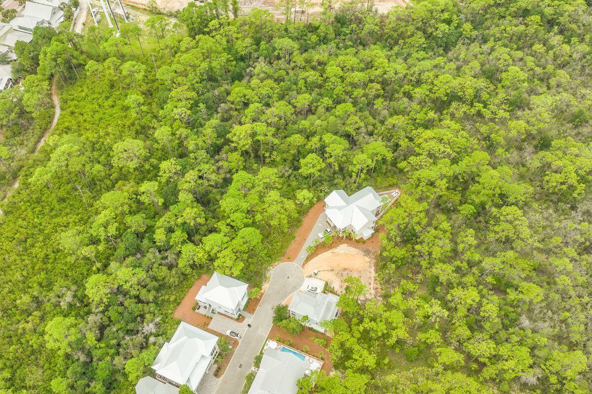 Lot 35 Redbud Ln Inlet Beach Inlet Beach, FL 32461 - Photo 13 of 21 a view of a yard with plants