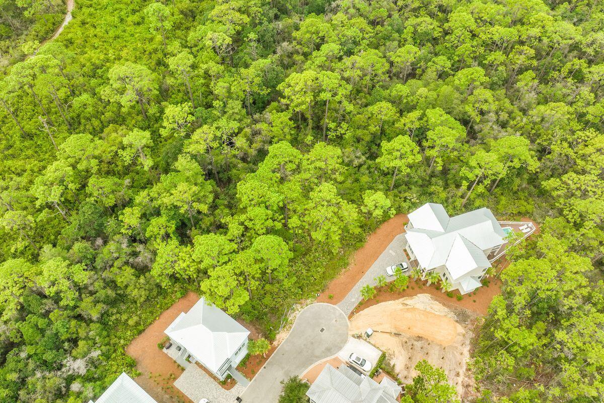 Lot 35 Redbud Ln Inlet Beach Inlet Beach, FL 32461 - Photo 14 of 21 a view of a yard with an outdoor space