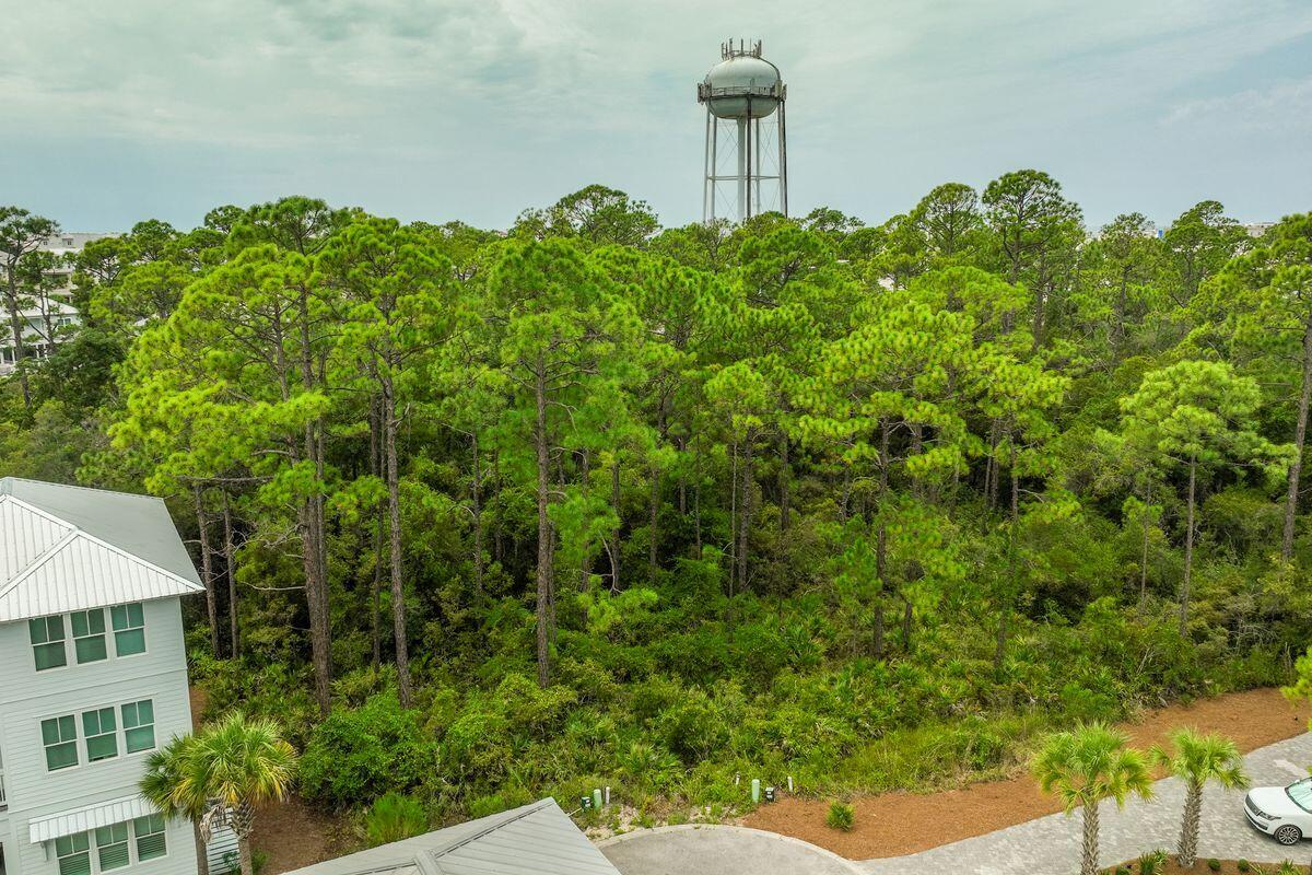 Lot 35 Redbud Ln Inlet Beach Inlet Beach, FL 32461 - Photo 7 of 21 a backyard of a house with lots of green space